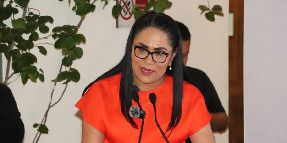 Fedrha Suriano acusa incongruencia del PAN por Concejos Municipales