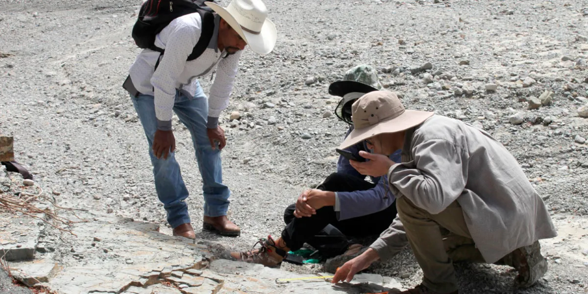 Investigadores BUAP documentan cuatro huellas de dinosaurios en Puebla