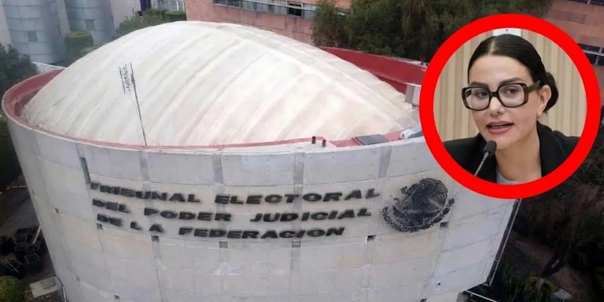 Nayeli Salvatori retiró queja ante Tribunal contra Morena