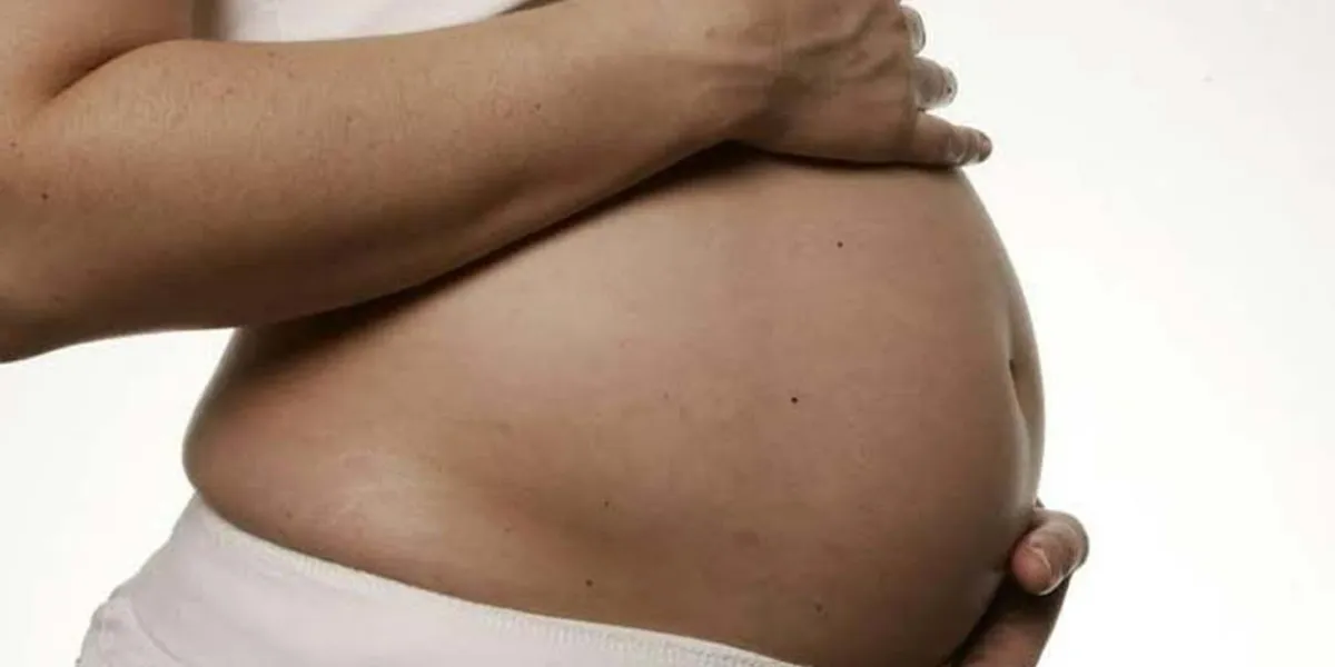 Vientres de alquiler, no deben ser un negocio, dicen Colectivos y feministas 