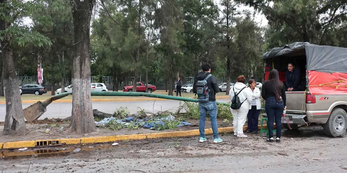 Atropellan a familia frente al Hospital del Niño Poblano; acompañaban a paciente internado