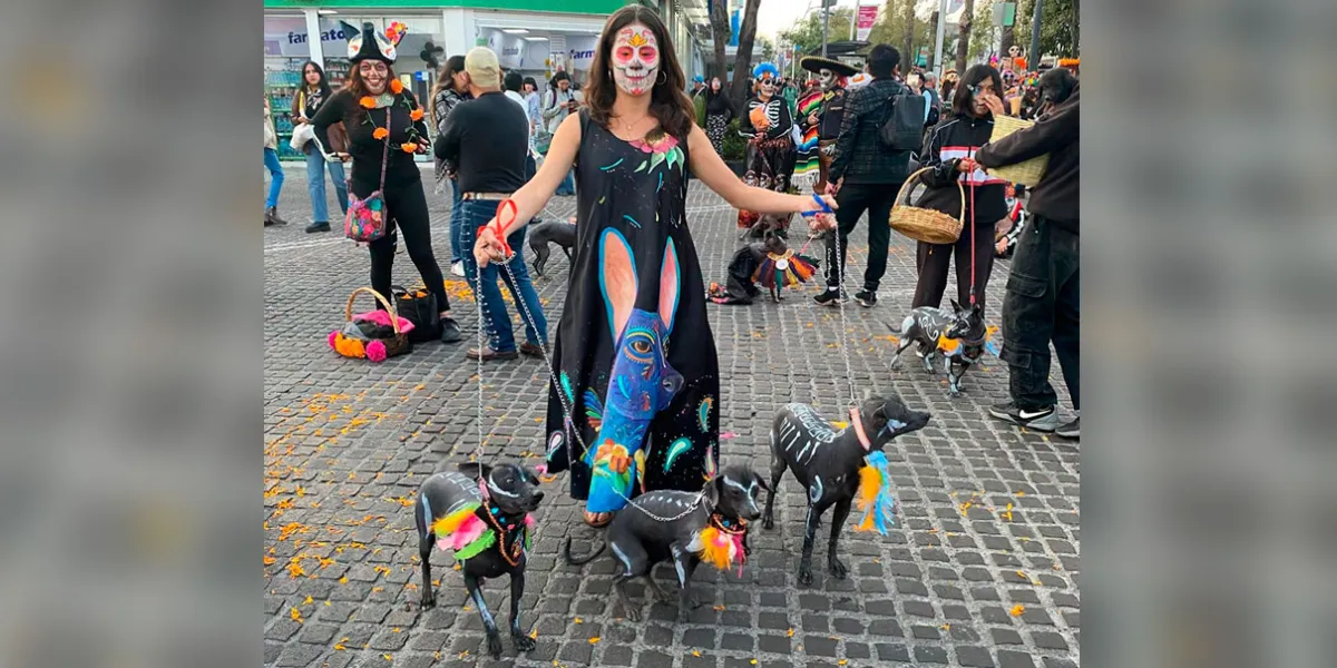 Salen los Xoloitzcuintles a caminar por las calles de Atlixco 