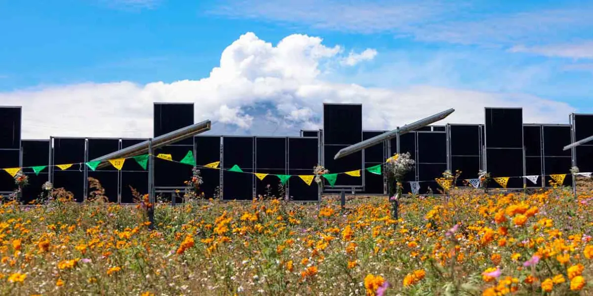 Puebla inaugura sistema agrovoltaico que reducirá 65% el gasto eléctrico