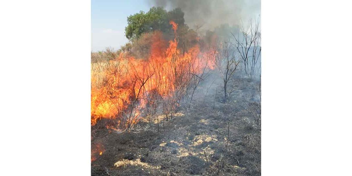 Incendio consume más de 30 hectáreas de pastizales en el cerro de Totolqueme