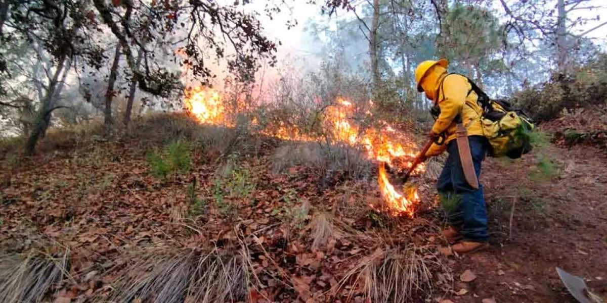 En 10 meses ardieron 8 mil 636 hectáreas de áreas verdes en Puebla: Conafor