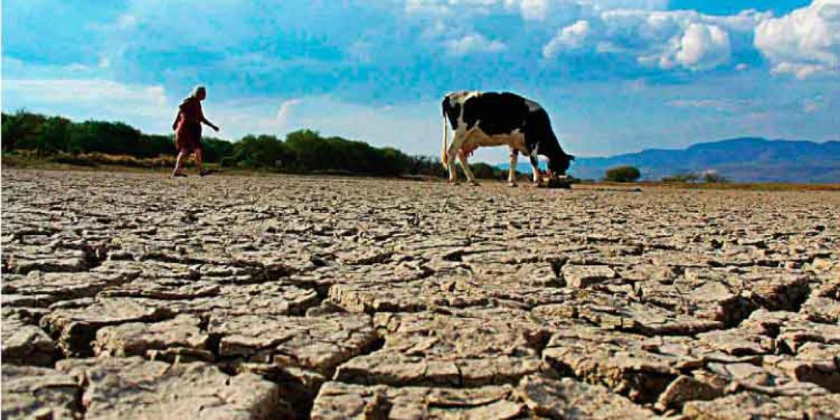 Más del 70% del territorio mexicano mantiene condiciones de sequía