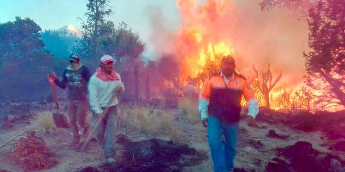 Protección Civil y Conafor enfrentan incendio forestal en Lafragua