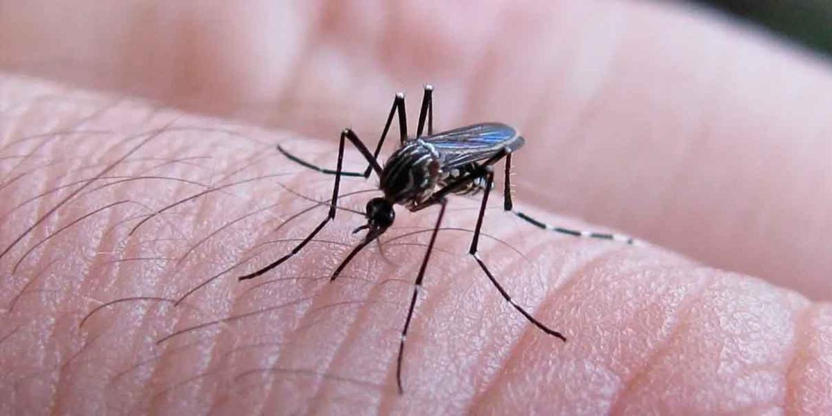 Puebla acumuló 2 mil 673 casos de Dengue y hay 8 infectados por Covid
