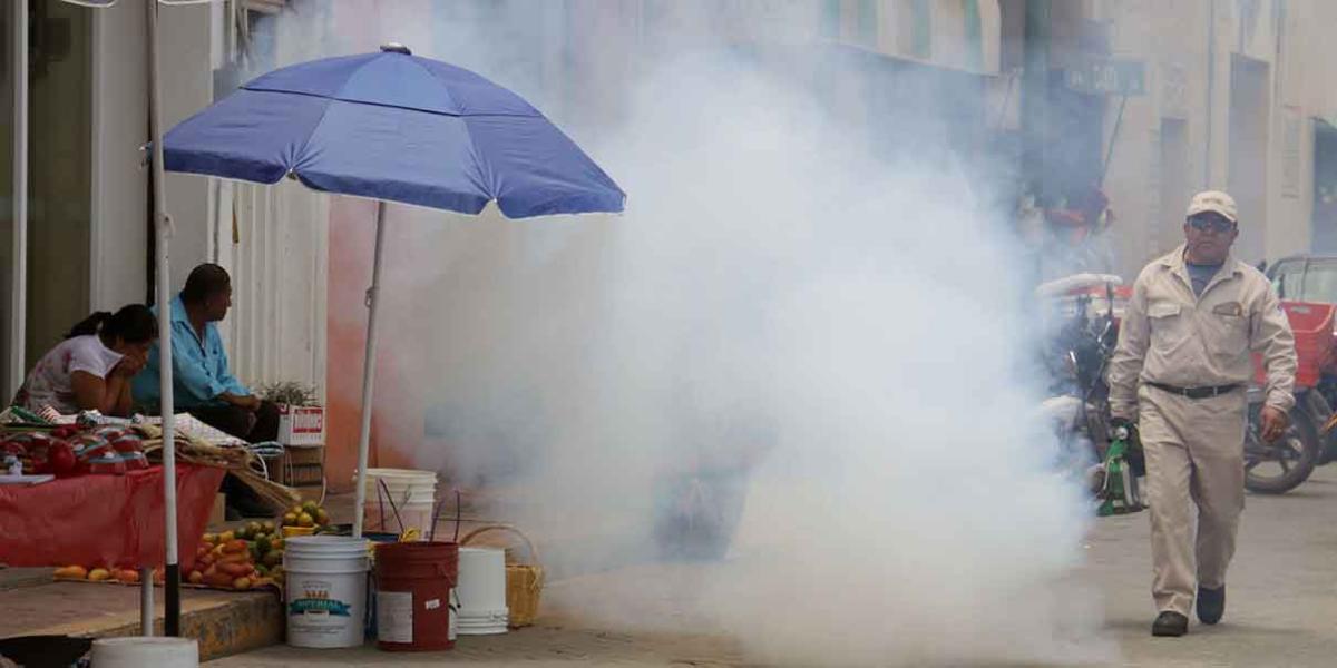 Dengue en el 48.38% de la entidad poblana; en 24 horas no hubo contagios ni decesos