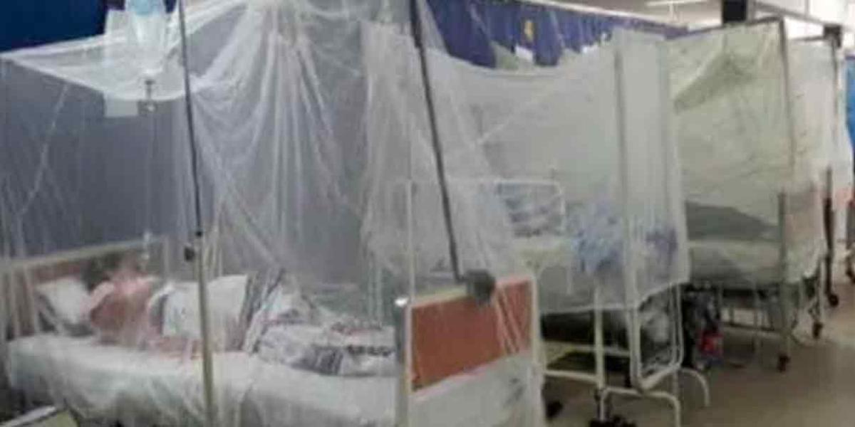 Hay 13 poblanos hospitalizados por Dengue
