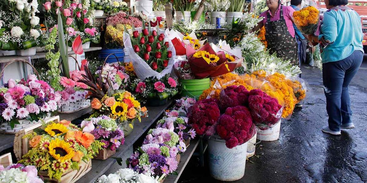 Flor de cempasúchil y terciopelo podría elevar ventas en la Central de Abasto