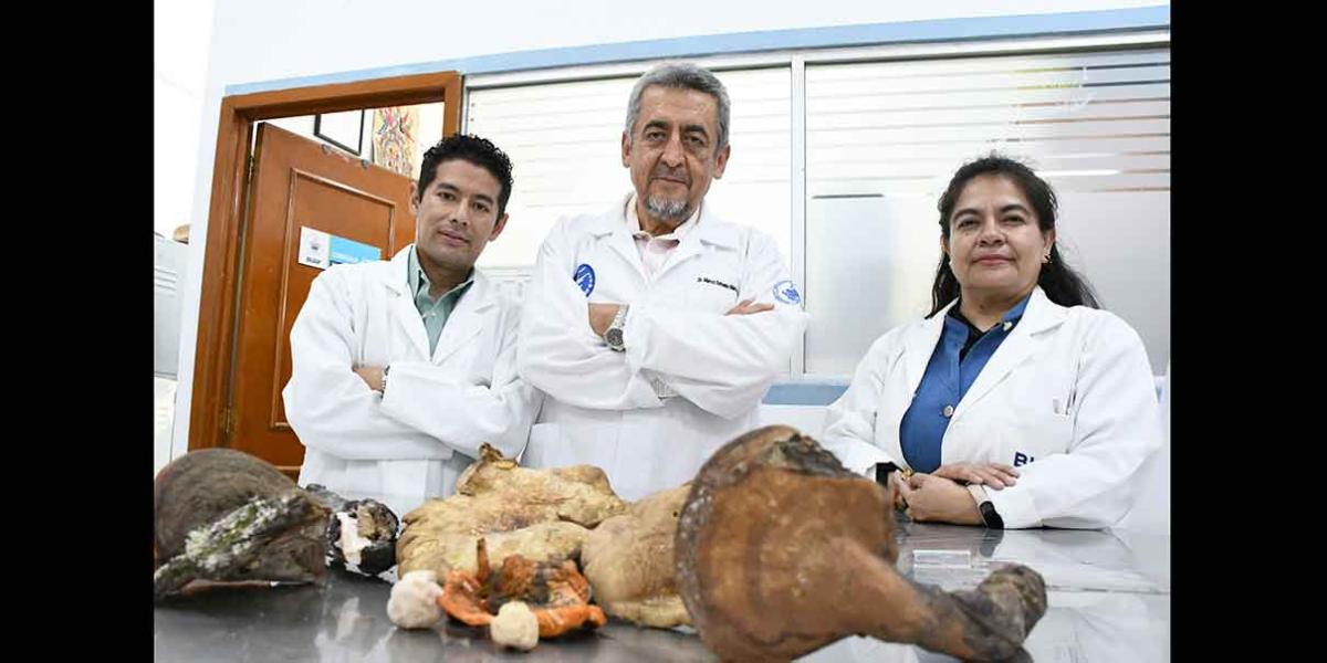 Científicos del CICA-ICUAP rescatan saberes ancestrales sobre hongos silvestres en La Malinche