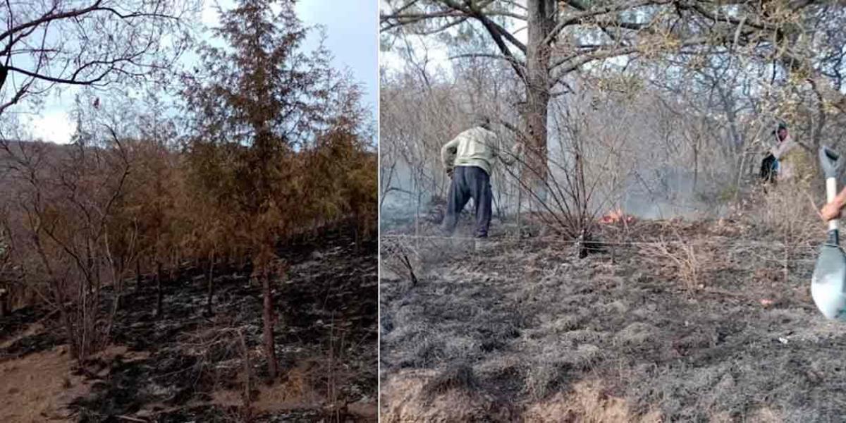 8 mil árboles quemados dejó el incendio en cerro de Texmelucan