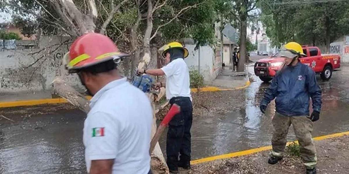 En Tehuacán, ráfagas de viento causan apagones y caída de árboles