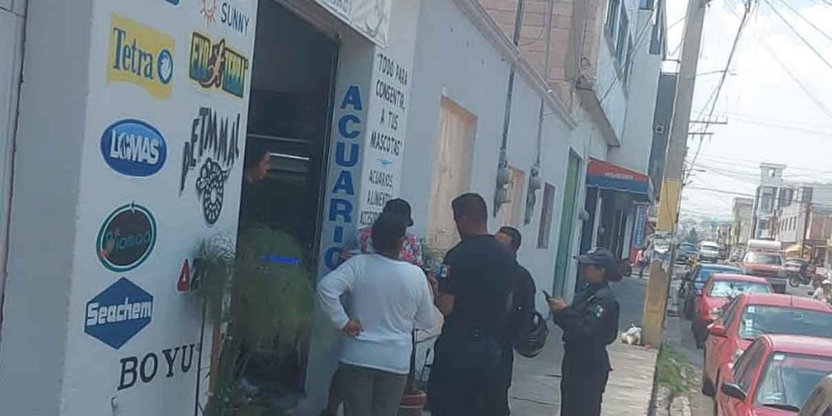 Ladrón solitario asalta una tienda de mascotas en Texmelucan