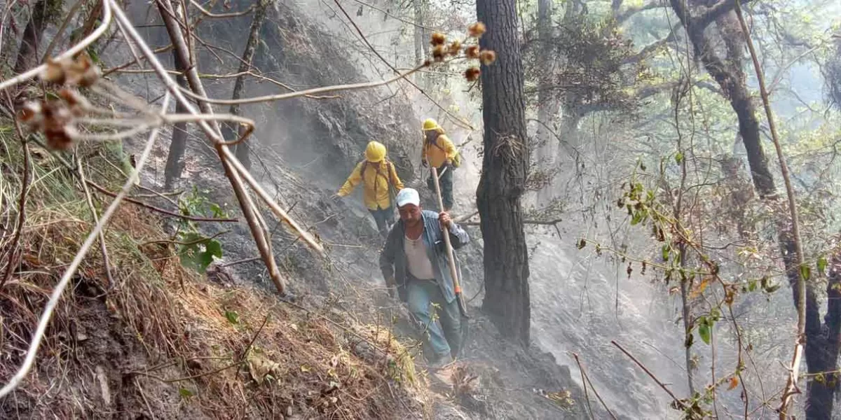 Siniestros forestales en Huauchinango, El Seco y Huehuetlán El Grande