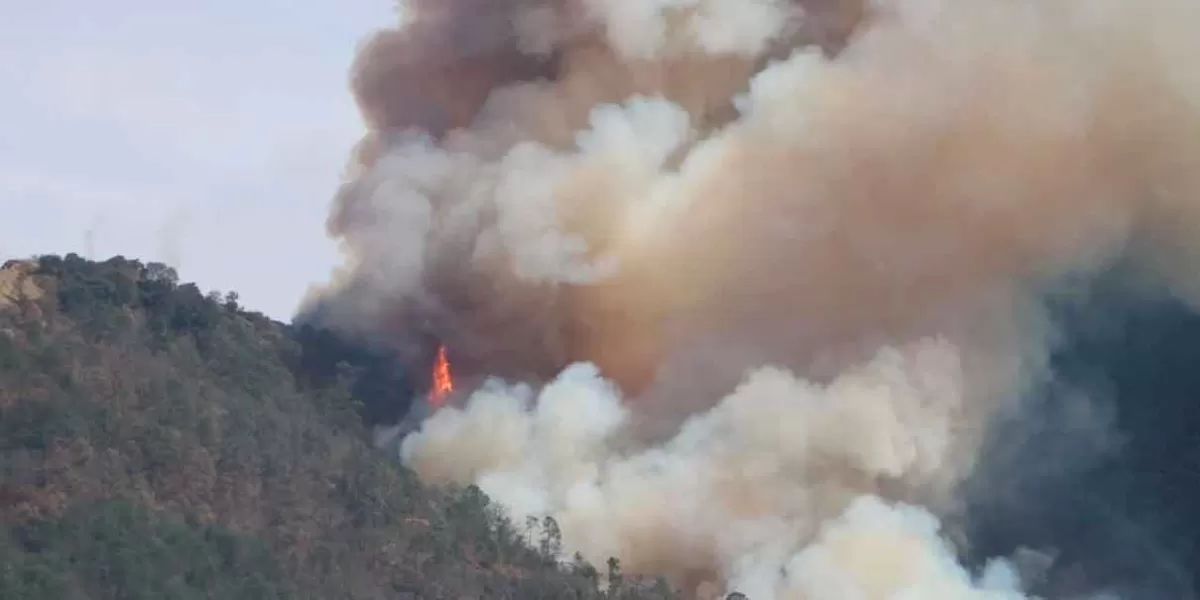 Puebla combate 5 incendios forestales; en Quimixtlán el más grave 