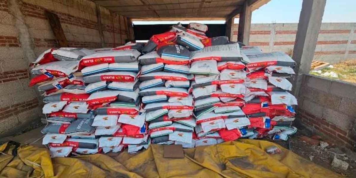Recuperan más de 14 toneladas de maíz durante cateo en Cuautlancingo