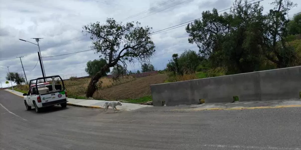 Alertan sobre acciones por lluvias a pobladores de Chiautzingo