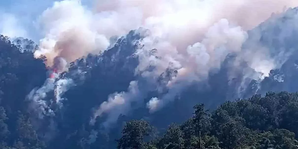 Combate contra voraz incendio forestal de Quimixtlán