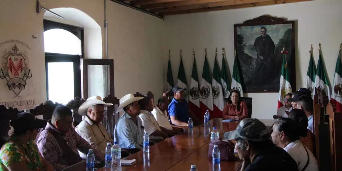 Izúcar mantiene trabajo forestal mediante convenio con la Conafor