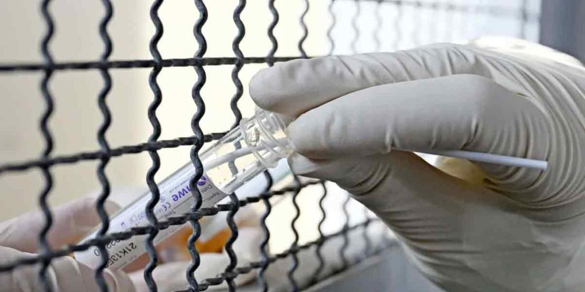SE RETRACTA. OMS aclara que paciente en México no murió por gripe aviar H5N2