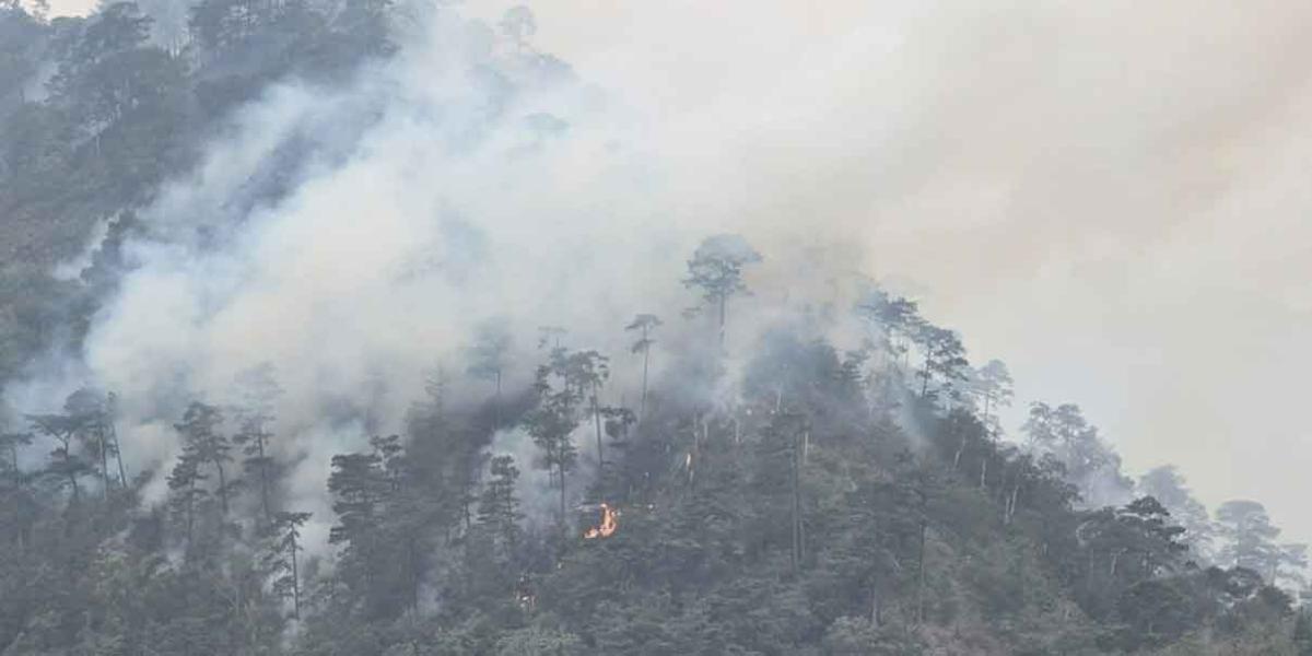 Sofocan incendios forestales en Huitzilan, Xochitlán y Tlahuapan
