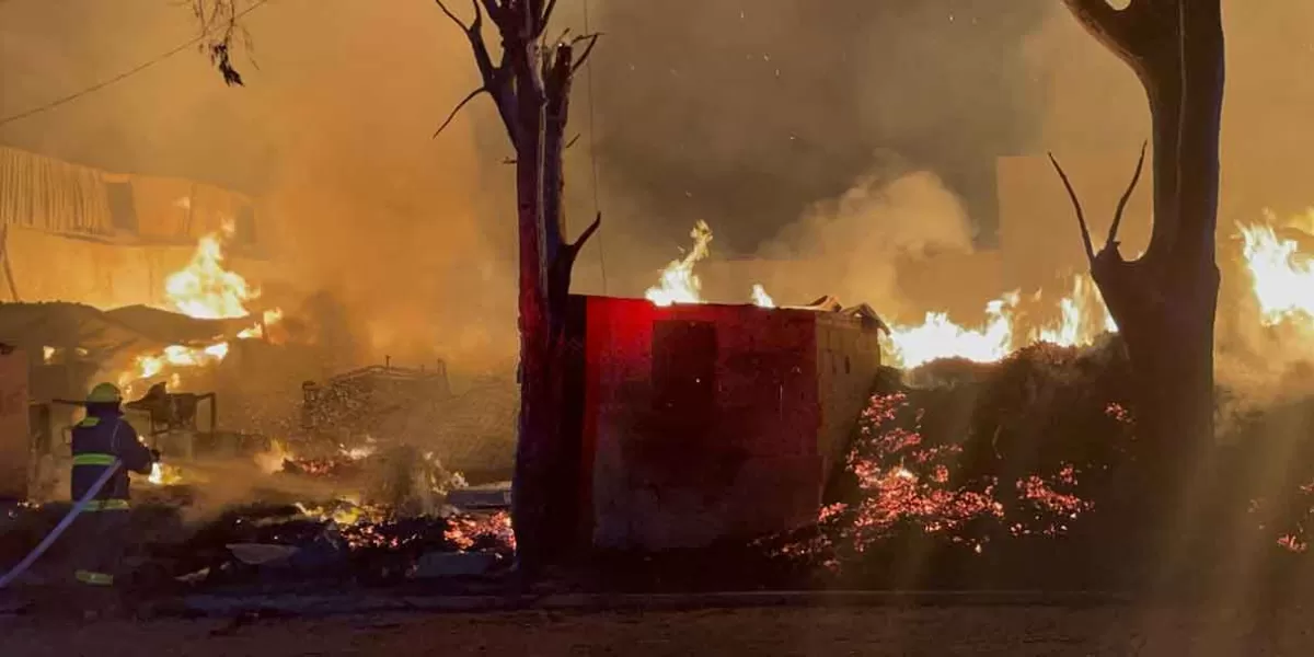 Suman 400 incendios forestales en Puebla en lo que va del 2024