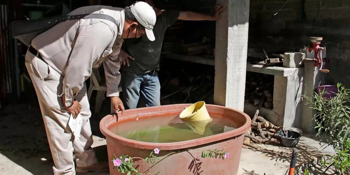 Alarmante aumento de casos de Dengue e infecciones gastrointestinales