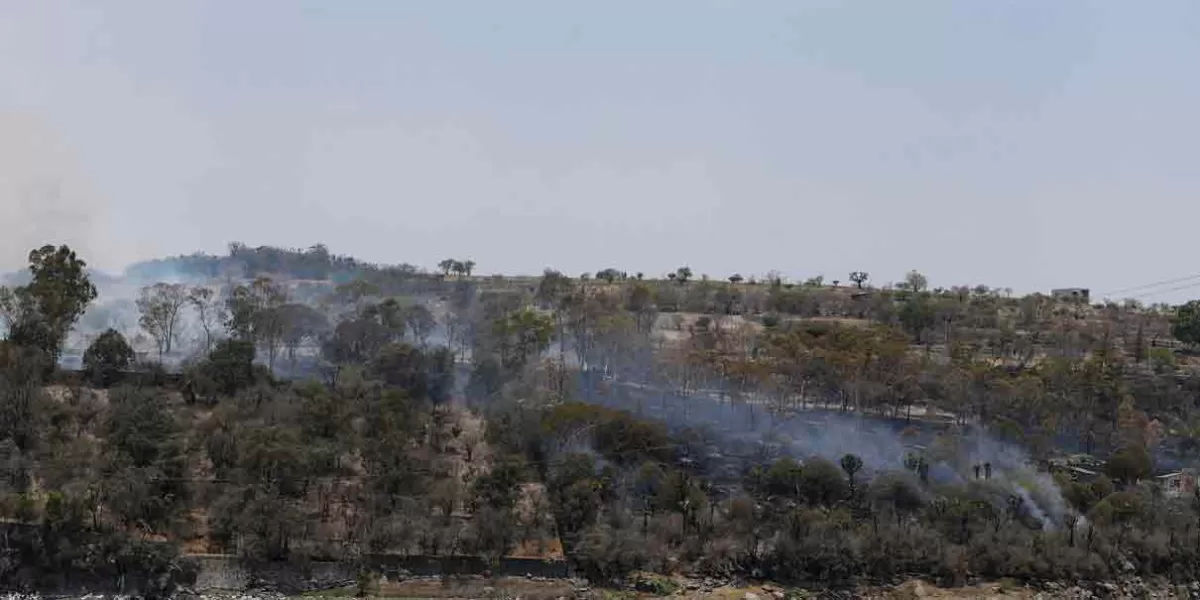 Puebla fortaleció tres brigadas para enfrentar incendios forestales 