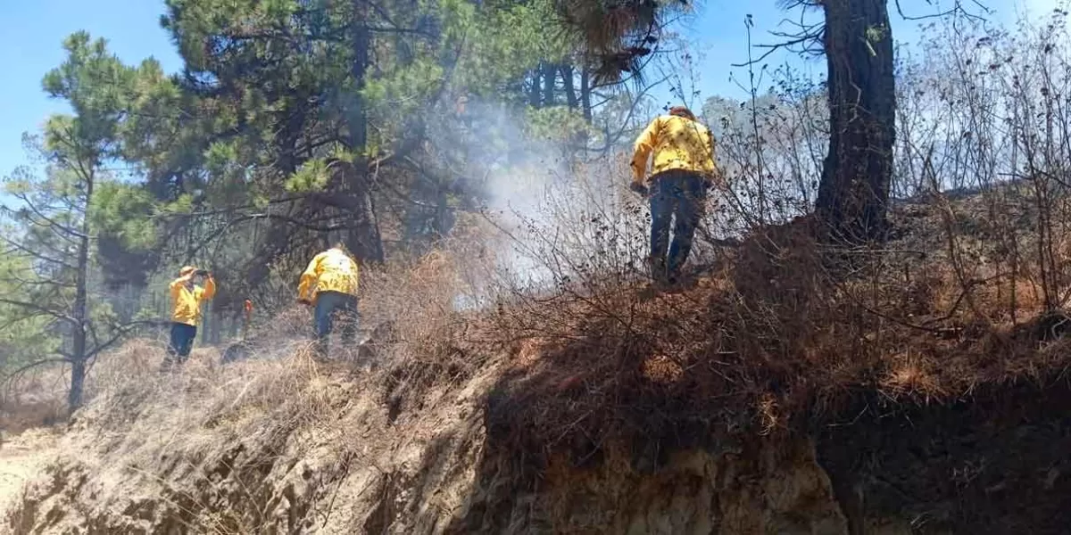 Sofocan incendio de pastizales en Tlatenco