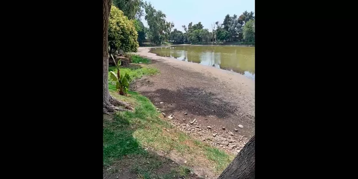 Por falta de lluvias, se secan lagunas y jagueyes de Texmelucan