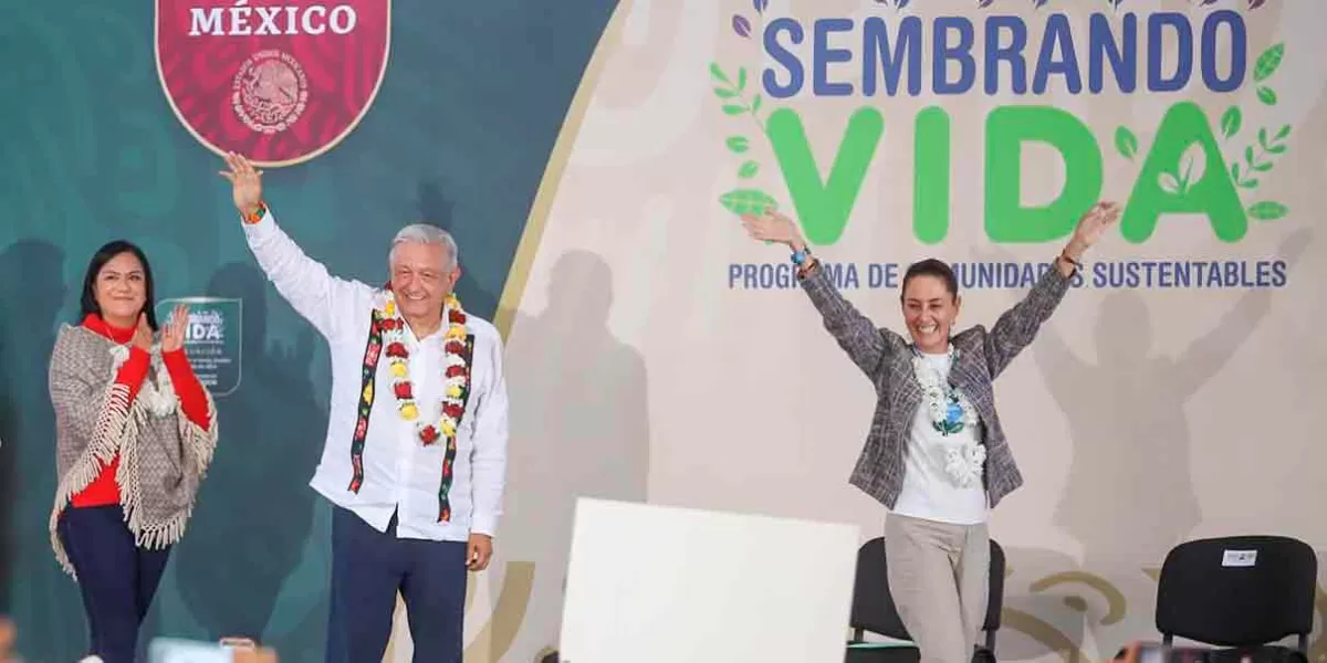 Con Sembrando Vida, Puebla cosechará 60 mil toneladas de durazno este año