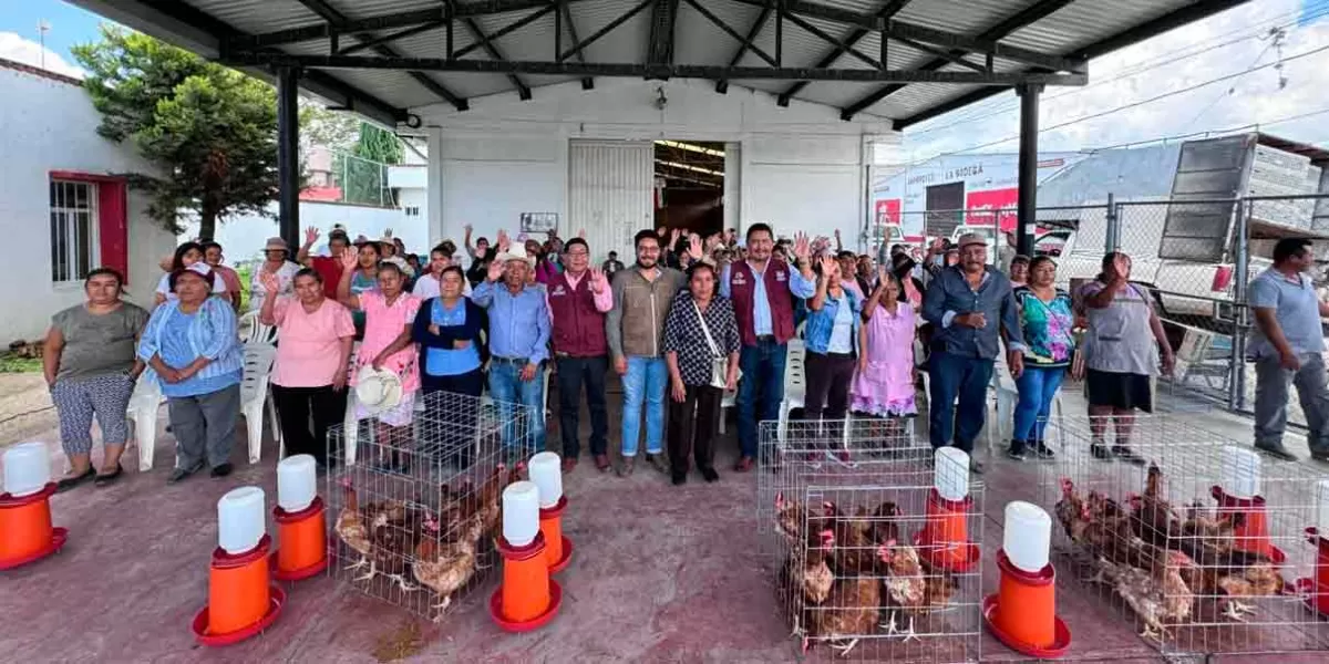 Mujeres de Atlixco recibieron paquetes avícolas para fortalecer su economía