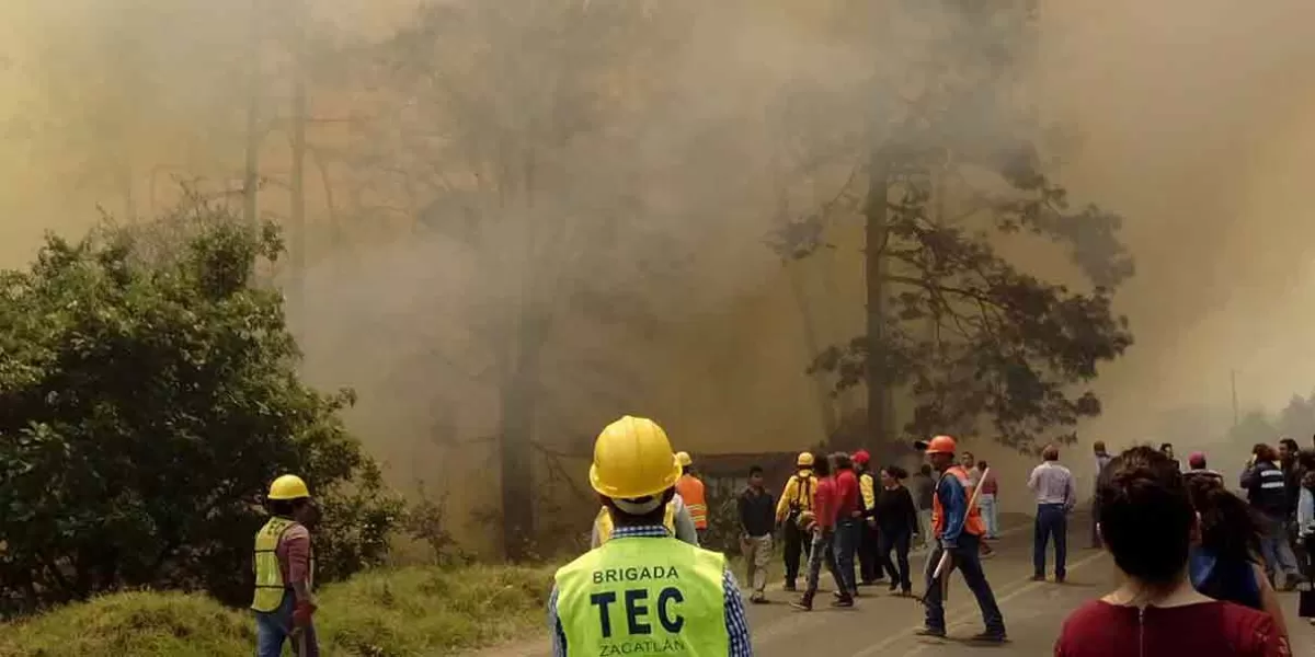 428 incendios forestales en Puebla arrasaron con 19 mil hectáreas arboladas