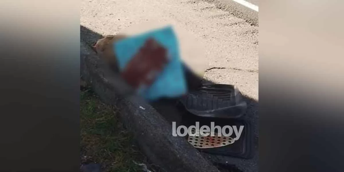 Degollado y con narcomensaje dejan cuerpo a un costado de la autopista Puebla-Orizaba