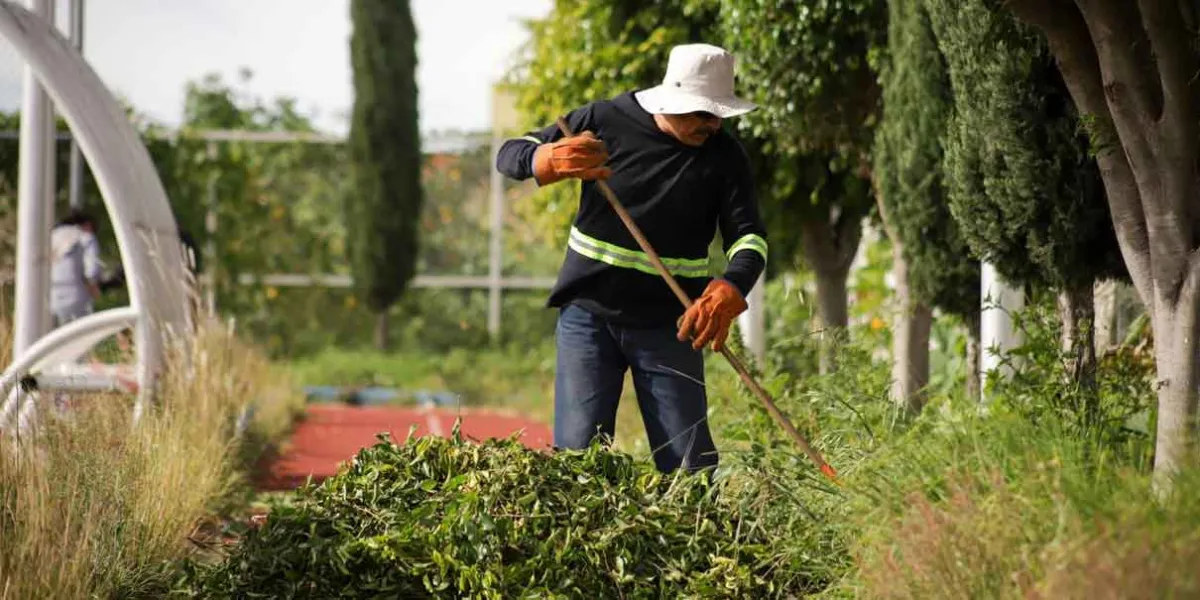 Guadalupe Cuautle arrancó con la rehabilitación de espacios deportivos