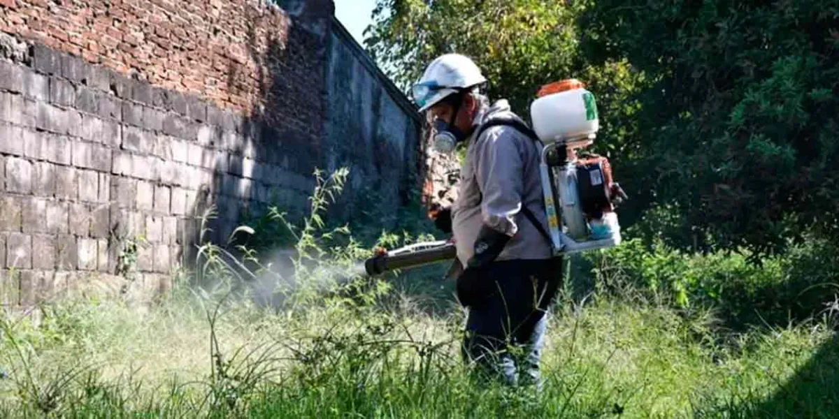 Puebla rebasó los 4 mil casos de Dengue 