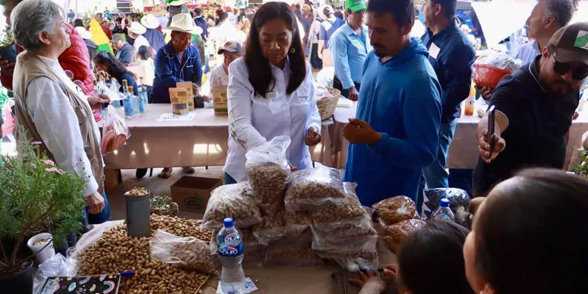  Atlixco celebró con éxito la Segunda Feria del Aguacate