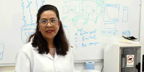 En el Centro Investigación en Dispositivos Semiconductores logran degradar compuesto dañino para la salud humana