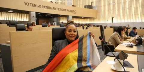 Diputado morenista impugnó llegada de Gabriela Chumacero al Congreso