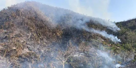 Incendios forestales, la amenaza que viene para Puebla