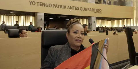 La diputación “trans” en el Congreso sin posibilidad de ser revocada
