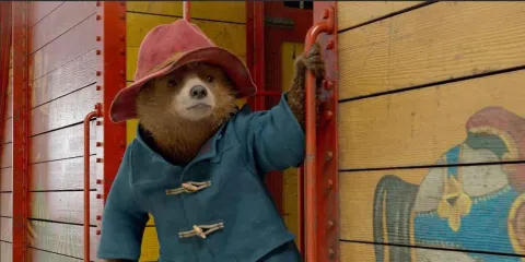 Paddington Aventura en la Selva, ahora en cines