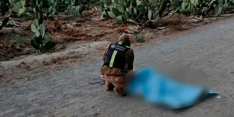 Ejecutaron a hombre en Felipe Ángeles, lo hallaron en camino vecinal