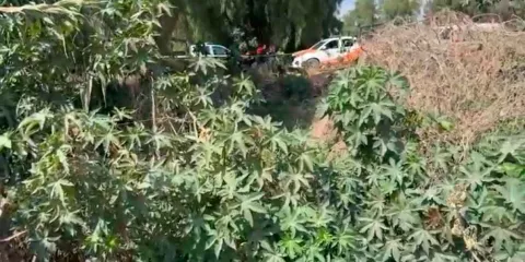 Hallan cadáver en barranca de la carretera Tecamachalco-Tochtepec