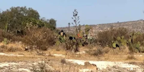 Identifican cuerpo de joven desaparecido en Tecamachalco; hallan otro cadáver en la misma zona