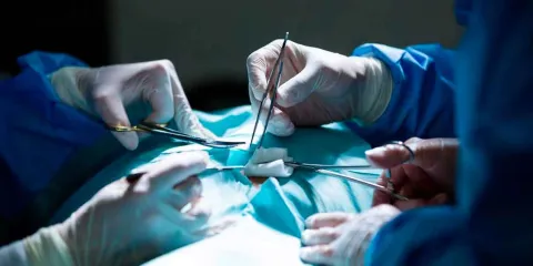 De 2 a 8 años de cárcel para cirujanos plásticos ilegales y clínicas clandestinas 