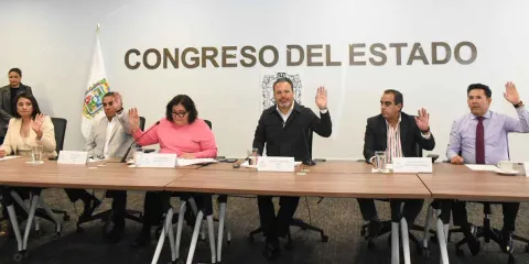 El Congreso definirá cinco perfiles para el Consejo Consultivo de Derechos Humanos 