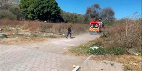 Colgada de un árbol fue hallada Elvira Cid, desaparecida en Tehuacán